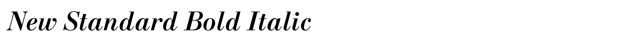 New Standard Bold Italic image
